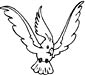 Cockatoo coloring page