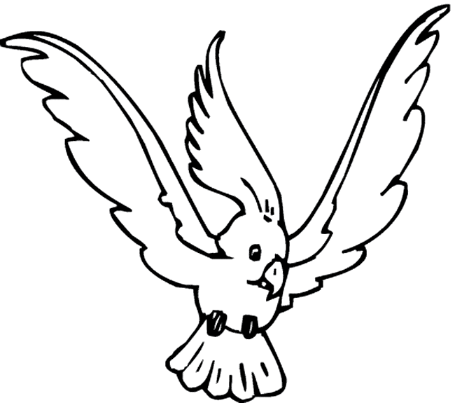 Cockatoo coloring page free printable