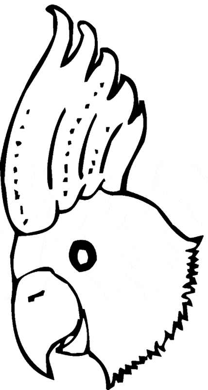 Cockatoo coloring page free printable