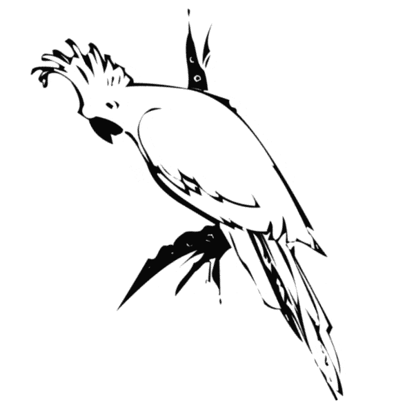 Cockatoo coloring page free printable