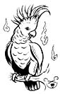 Cockatoo coloring page