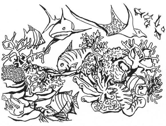 Coral coloring page - Animals Town - Free Coral color sheet