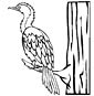 Cormorant coloring page