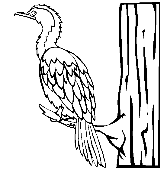 free Cormorant coloring page