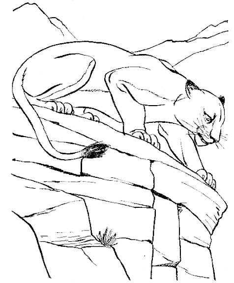 free Cougar coloring page