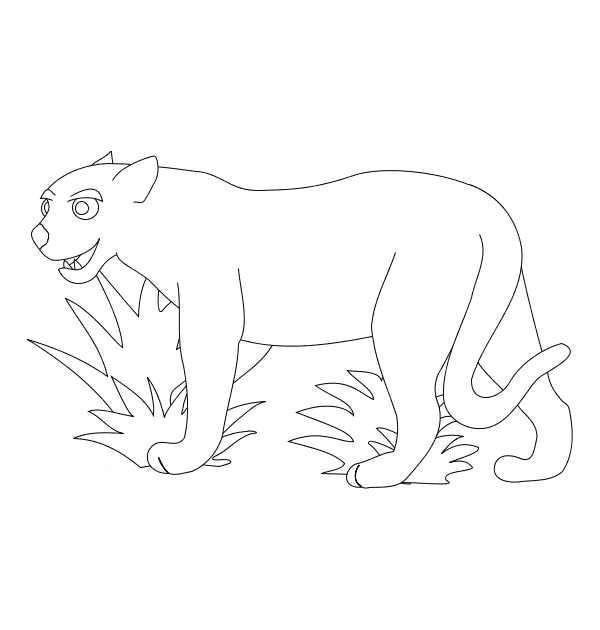 free Cougar coloring page