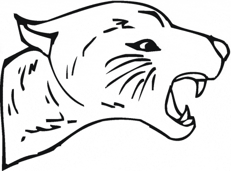 free Cougar coloring page