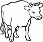 Cow coloring page