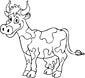 Cow coloring page