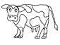 Cow coloring page