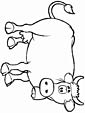 Cow colouring page