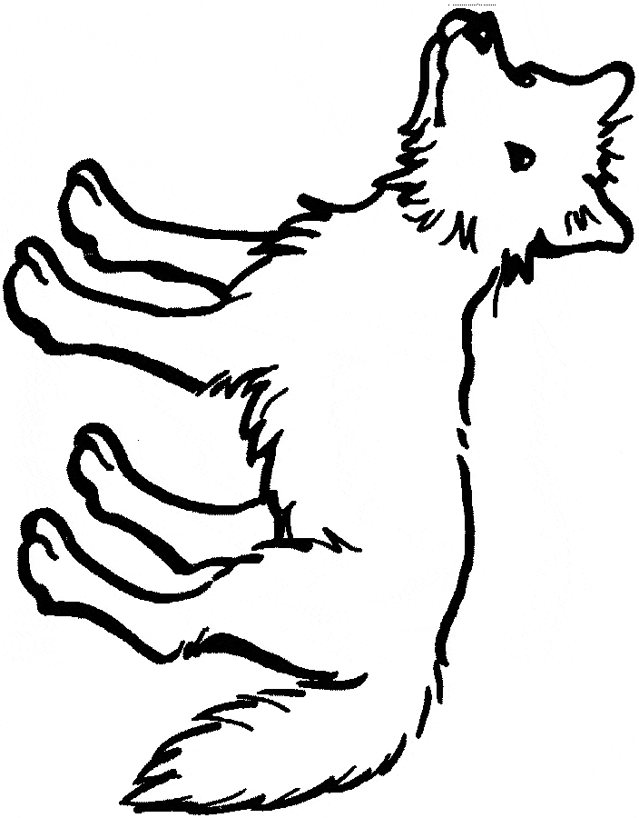 free Coyote coloring page