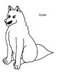 Coyote coloring page