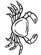 Crab coloring page