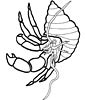 Crab coloring page