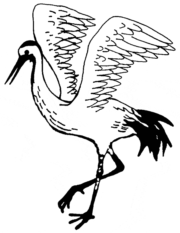 Crane coloring - Free Animal coloring pages sheets Crane