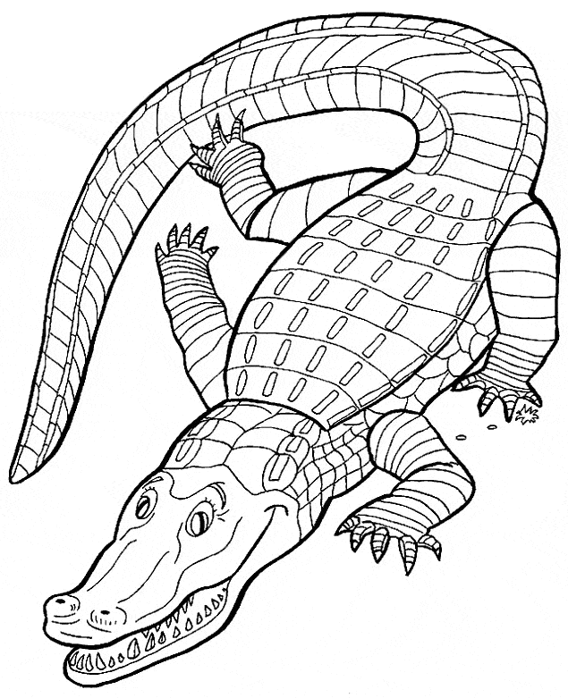 free Crocodile coloring page