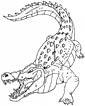 Crocodile coloring page