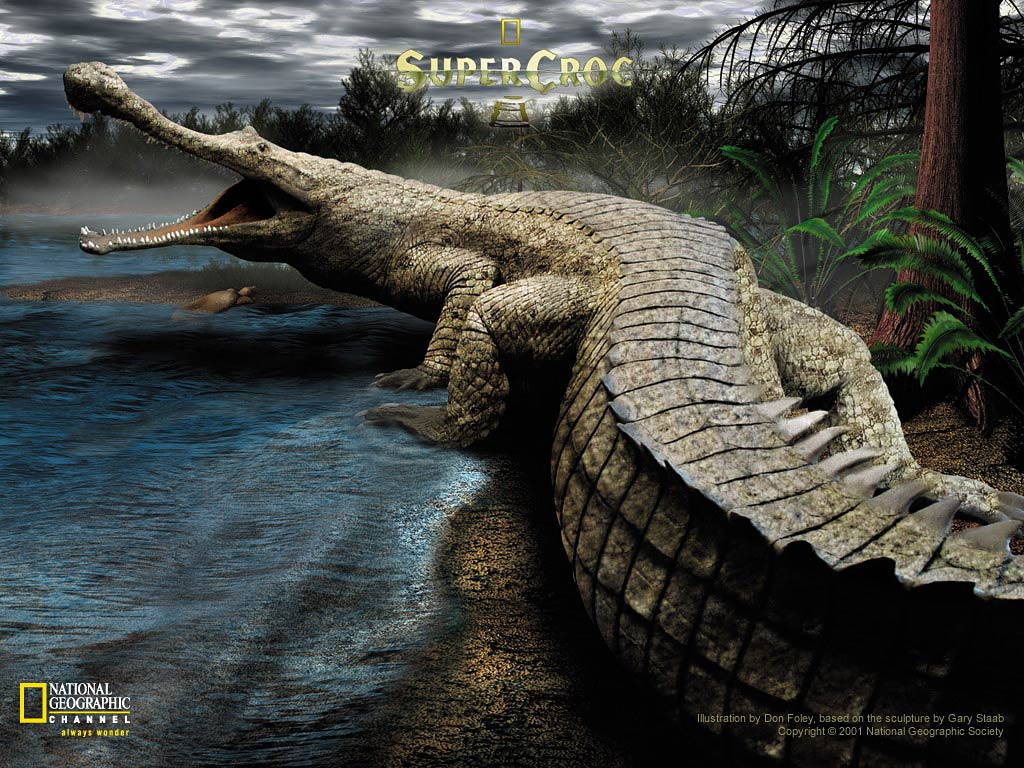 alligator wallpaper APK for Android Download