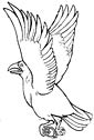 Crow coloring page