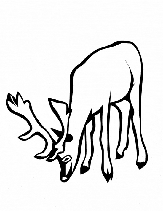 free Deer coloring page