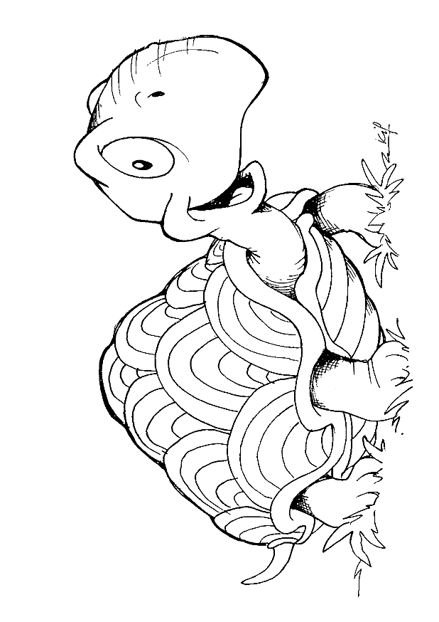 free Desert Tortoise coloring page