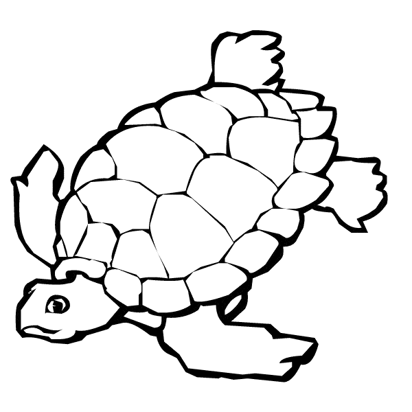 free Desert Tortoise coloring page