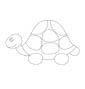 Tortoise coloring sheet