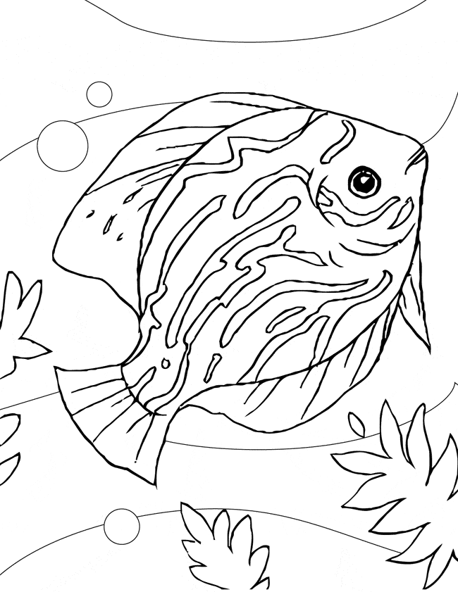 free Discus coloring page