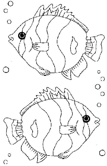 free Discus coloring page