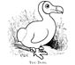 dodo coloring