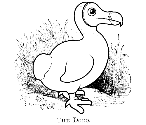 free Dodo coloring page