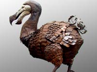 Dodo image