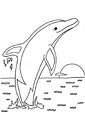 Dolphin coloring page