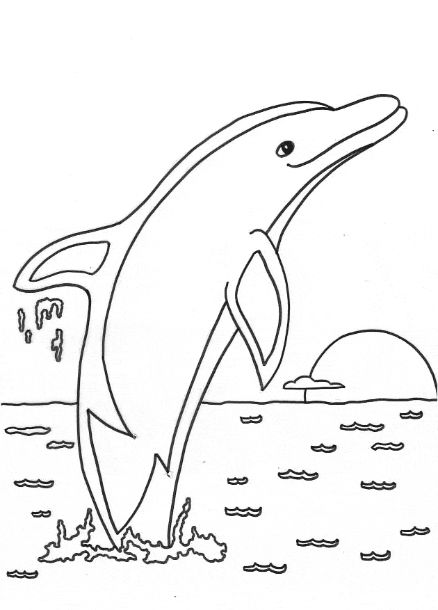 free Dolphin coloring page