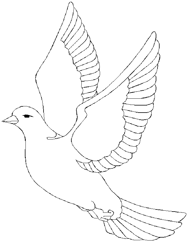 free Dove coloring page