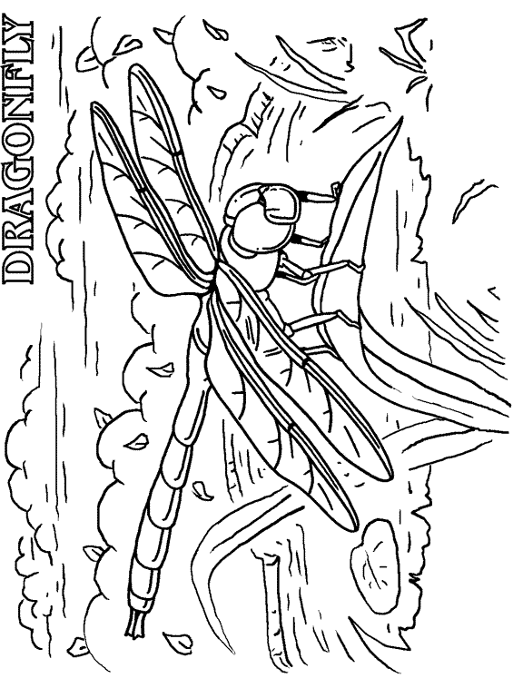 free Dragonfly coloring page