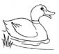 Duck coloring page