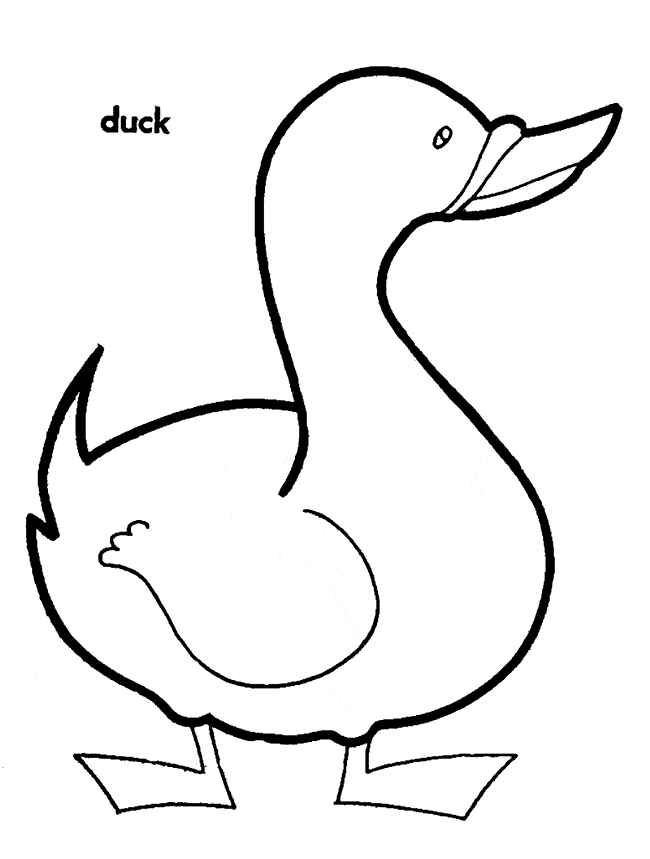 free Duck coloring page