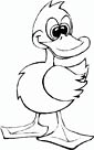 Duck coloring page