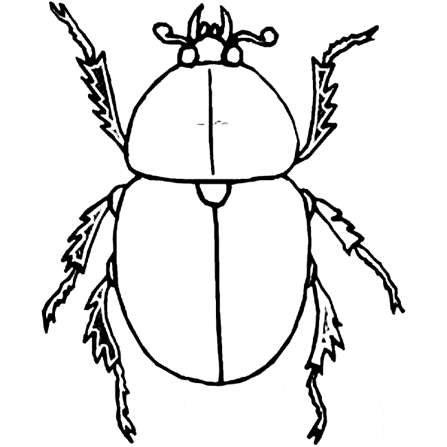 free Dung Beetle coloring page