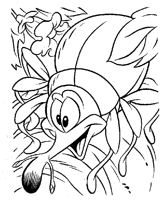 free Dung Beetle coloring page