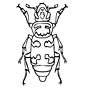 Dung Beetle coloring page