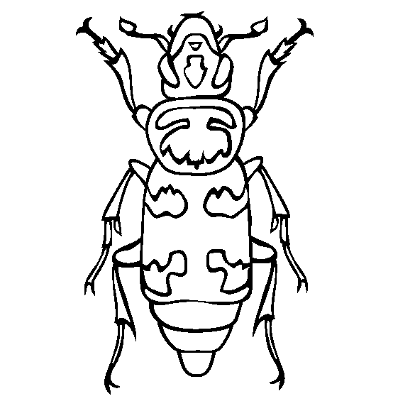 Download Dung Beetle coloring page - Animals Town - Free Dung Beetle color sheet