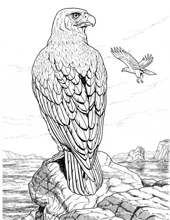 free Eagle coloring page