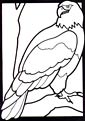 Eagle coloring page