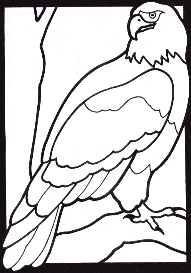 free Eagle coloring page