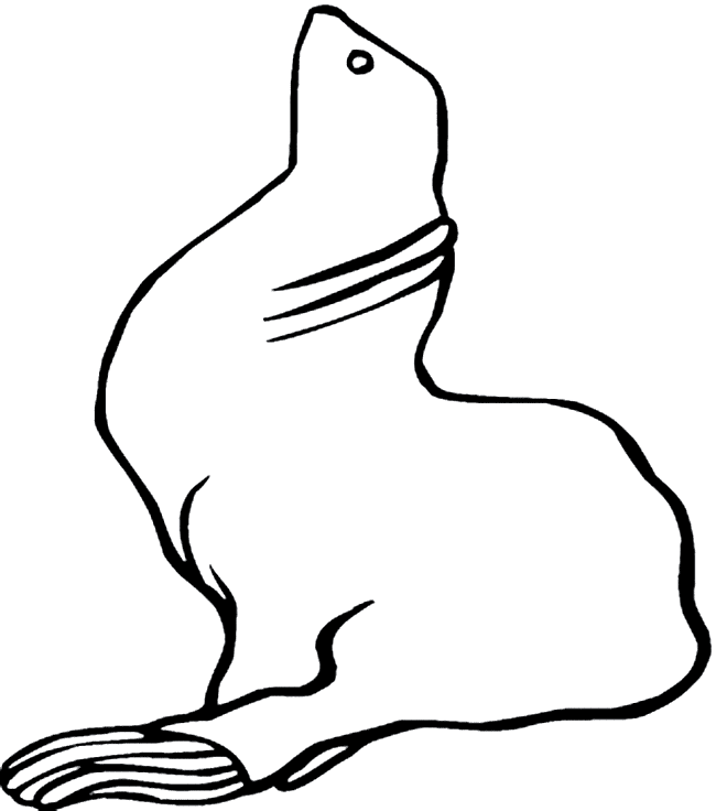 free Eared Seal coloring page
