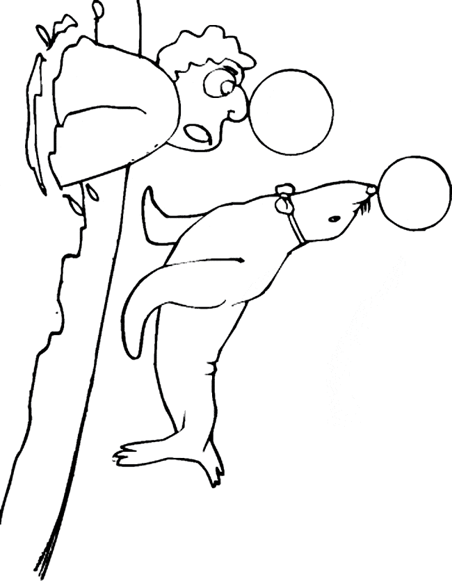 free Eared Seal coloring page