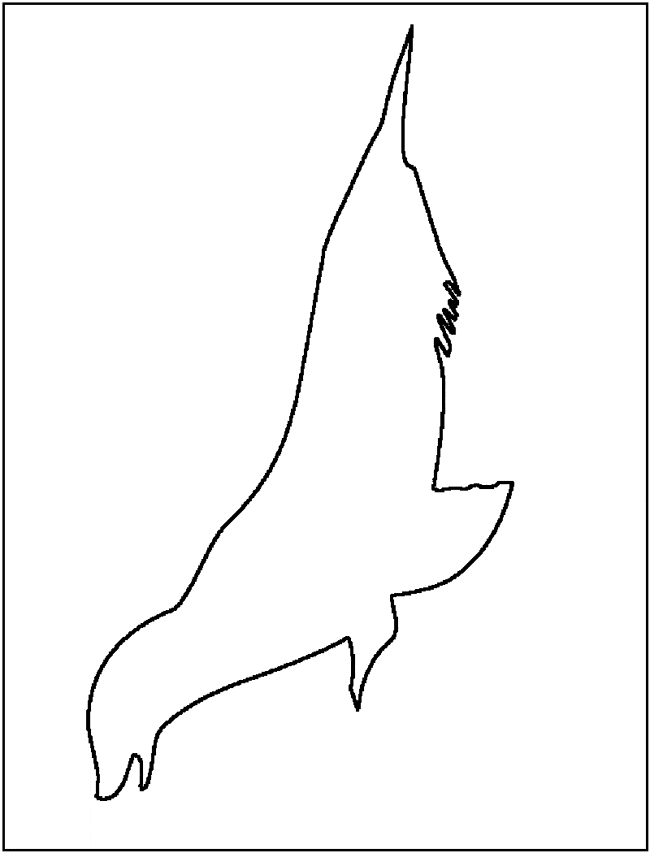 free Eared Seal coloring page